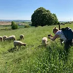 Дом отдыха Zuid Limburg Josefien Симпелвелд