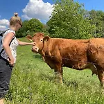 Дом отдыха Zuid Limburg Josefien Симпелвелд