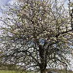 Дом отдыха Zuid Limburg Josefien Симпелвелд