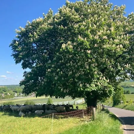Zuid Limburg Josefien Vakantiehuis