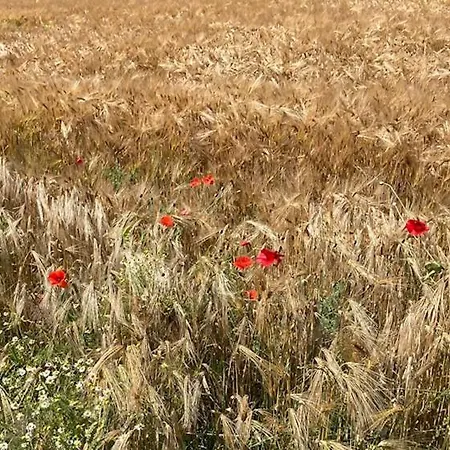 Zuid Limburg Josefien * Simpelveld