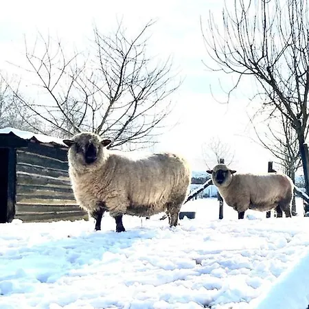 Zuid Limburg Josefien