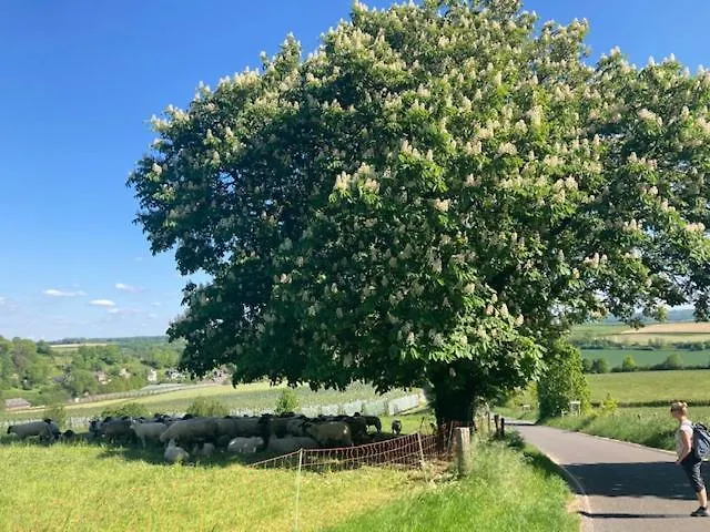 Zuid Limburg Josefien Nyaraló
