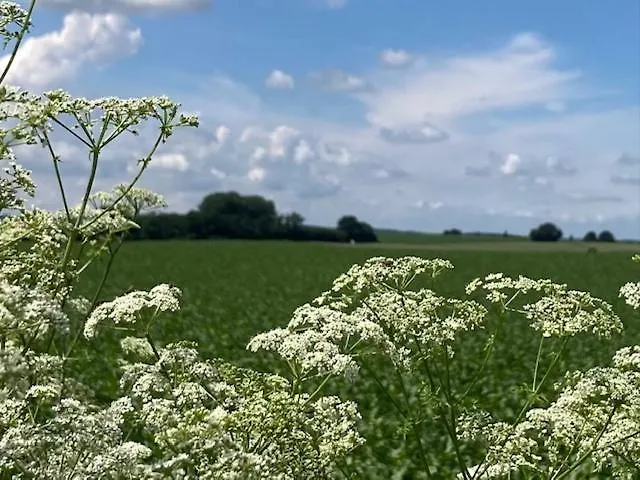 Zuid Limburg Josefien 펜션