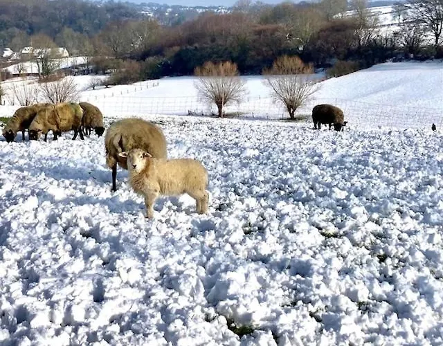 Nyaraló Zuid Limburg Josefien Simpelveld