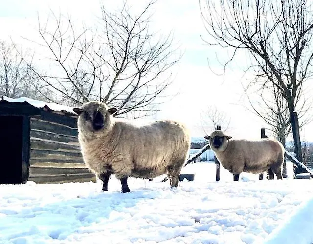 Zuid Limburg Josefien