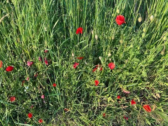 Zuid Limburg Josefien Vakantiehuis *
