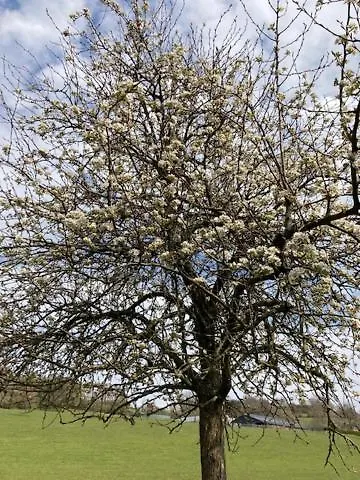 Nyaraló Zuid Limburg Josefien Simpelveld