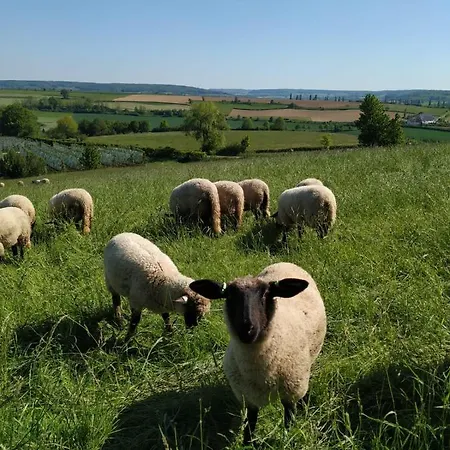Zuid Limburg Josefien