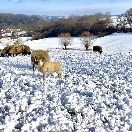 Prázdninový dům Zuid Limburg Josefien Simpelveld