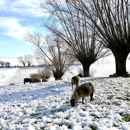 Zuid Limburg Josefien Prázdninový dům