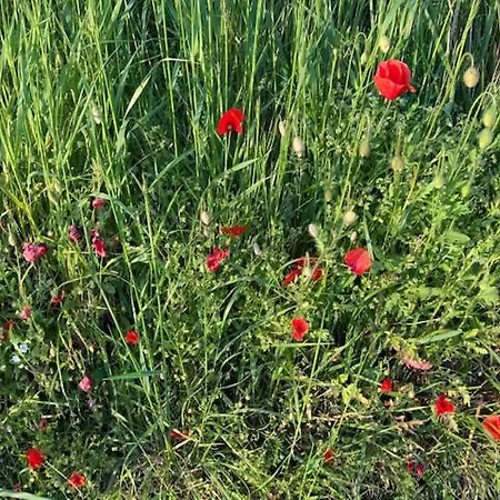 Zuid Limburg Josefien Prázdninový dům *