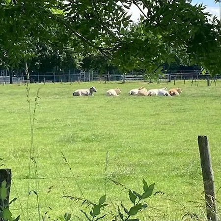 Zuid Limburg Josefien Prázdninový dům Simpelveld