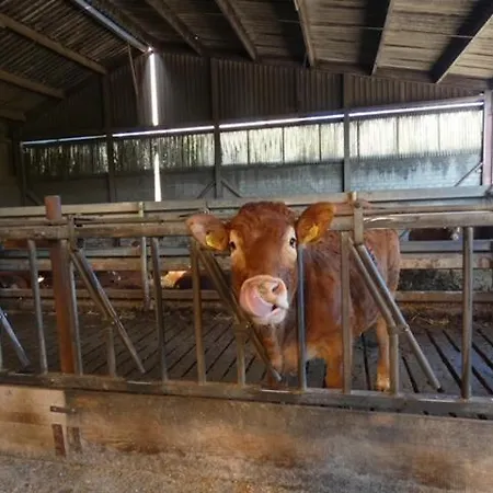 Prázdninový dům Zuid Limburg Josefien *