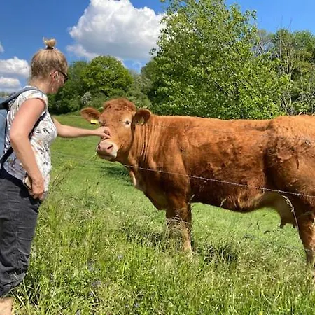 Prázdninový dům Zuid Limburg Josefien Simpelveld