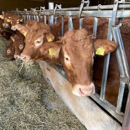 Zuid Limburg Josefien * Simpelveld