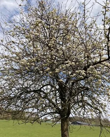 Prázdninový dům Zuid Limburg Josefien Simpelveld