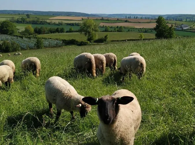 Zuid Limburg Josefien