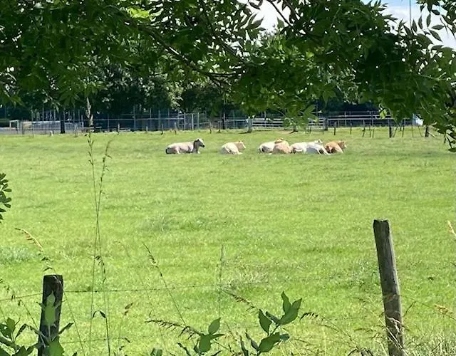 Zuid Limburg Josefien Feriehus Simpelveld
