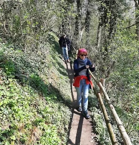 Zuid Limburg Josefien Feriehus Simpelveld
