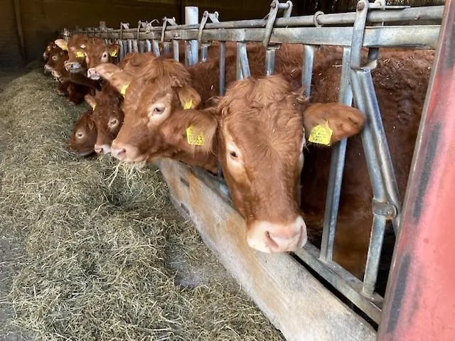 Zuid Limburg Josefien * Simpelveld